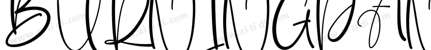 BURNINGPAN Regular字体转换